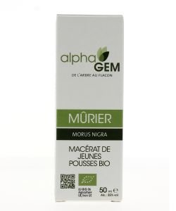 Murier (Morus nigra) bourgeon unitaire BIO, 50 ml